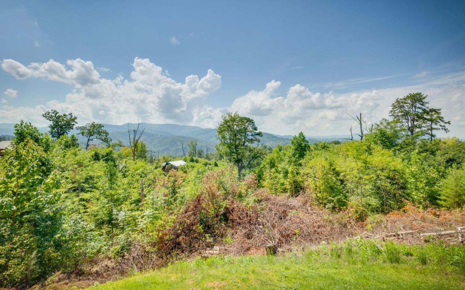 Lifes A Bear Villa Gatlinburg Luaran gambar