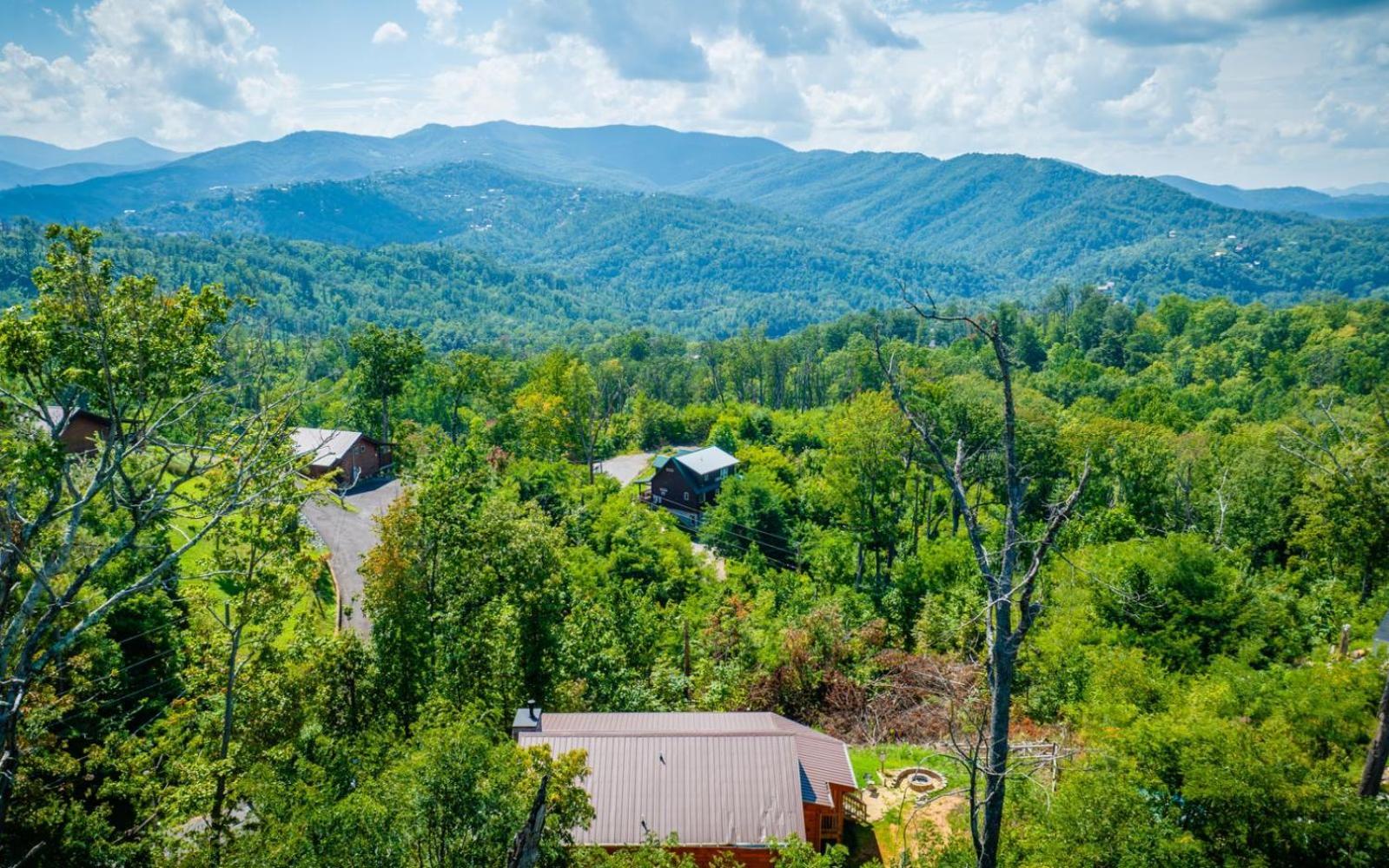 Lifes A Bear Villa Gatlinburg Luaran gambar